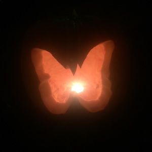 Meet your Posher, Cassandra